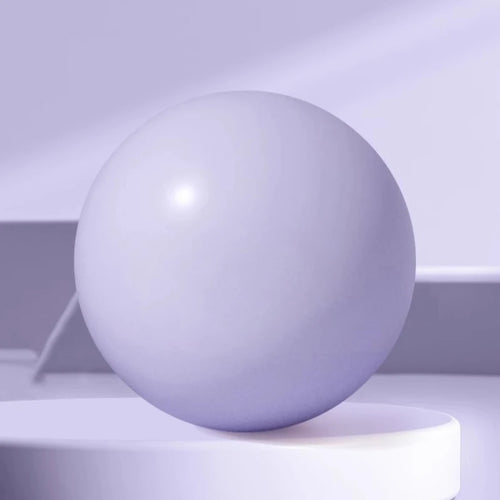Gym Yoga/Pilates Fitness Ball