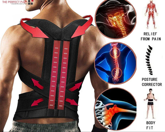 Adjustable Posture Corrector Low Back Support  Belt
